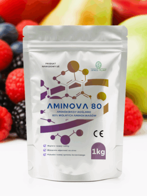 AmiNova 80 - Aminokwasy roślinne