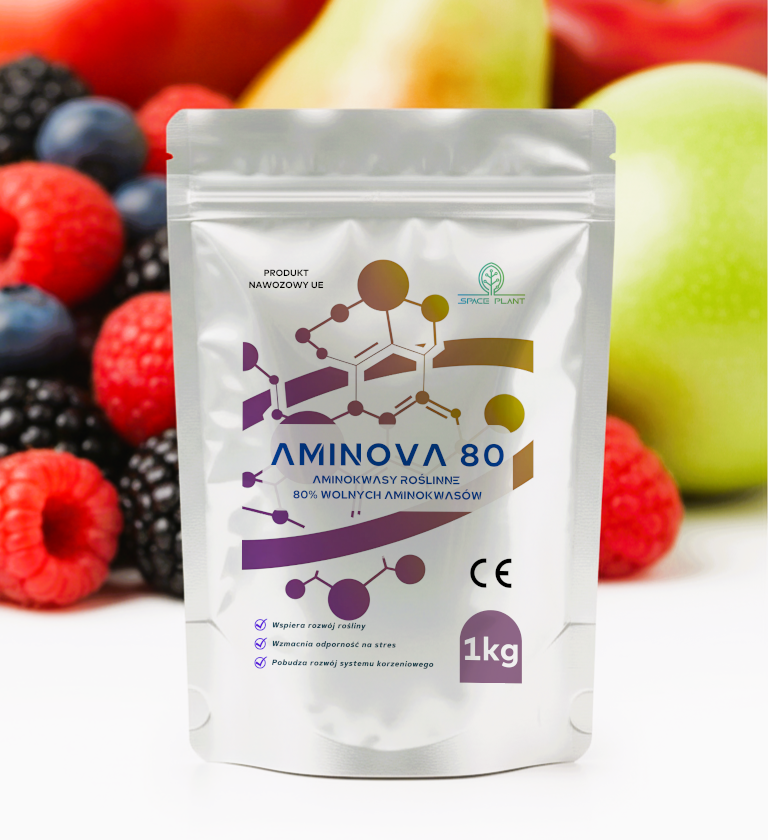 AmiNova 80 - Aminokwasy roślinne